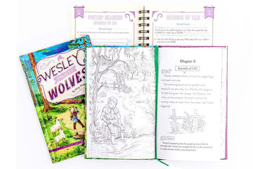 Reading Booster C Set