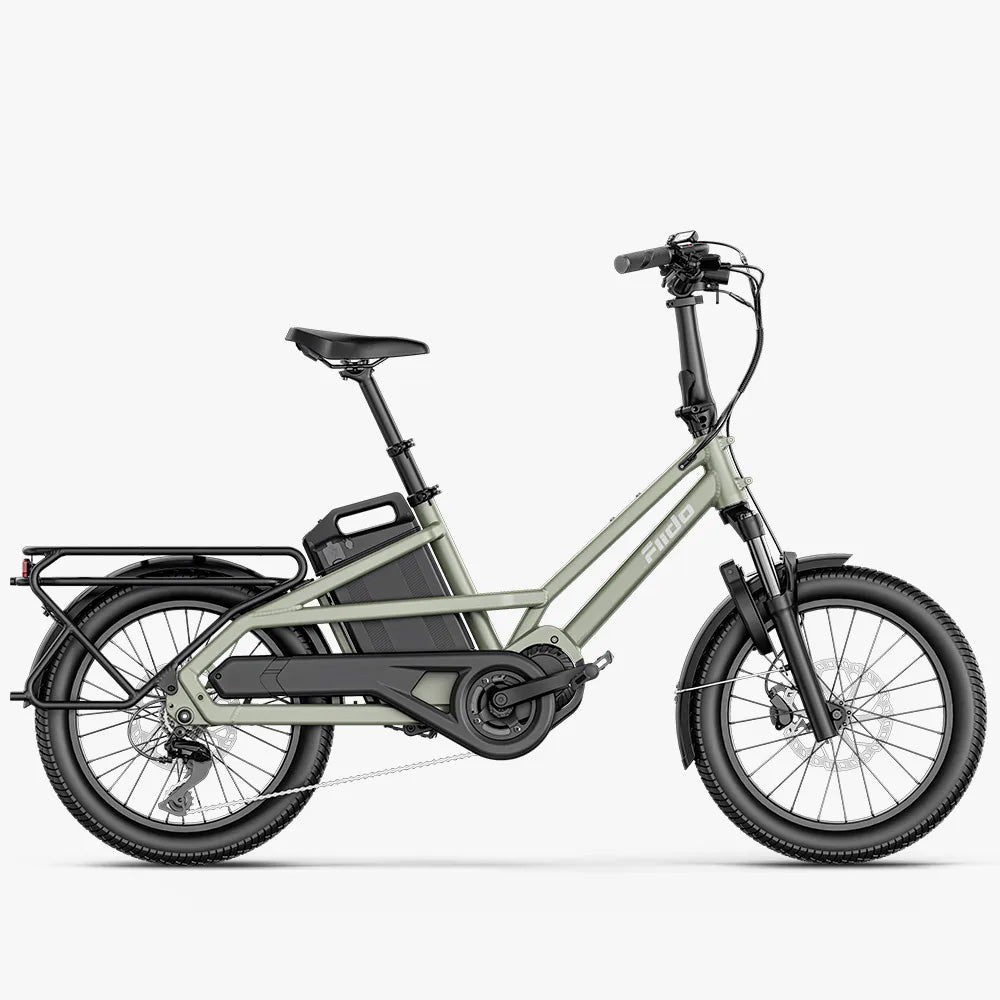 Fiido T3 Urban Family Cargo E-Bike