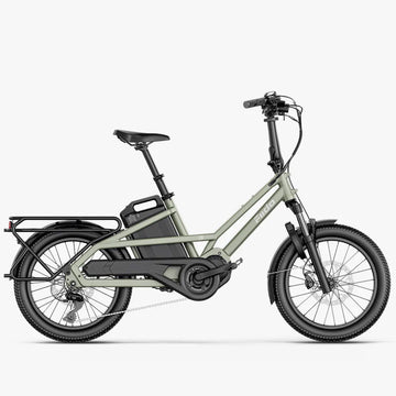 Fiido T3 Urban Family Cargo E-Bike