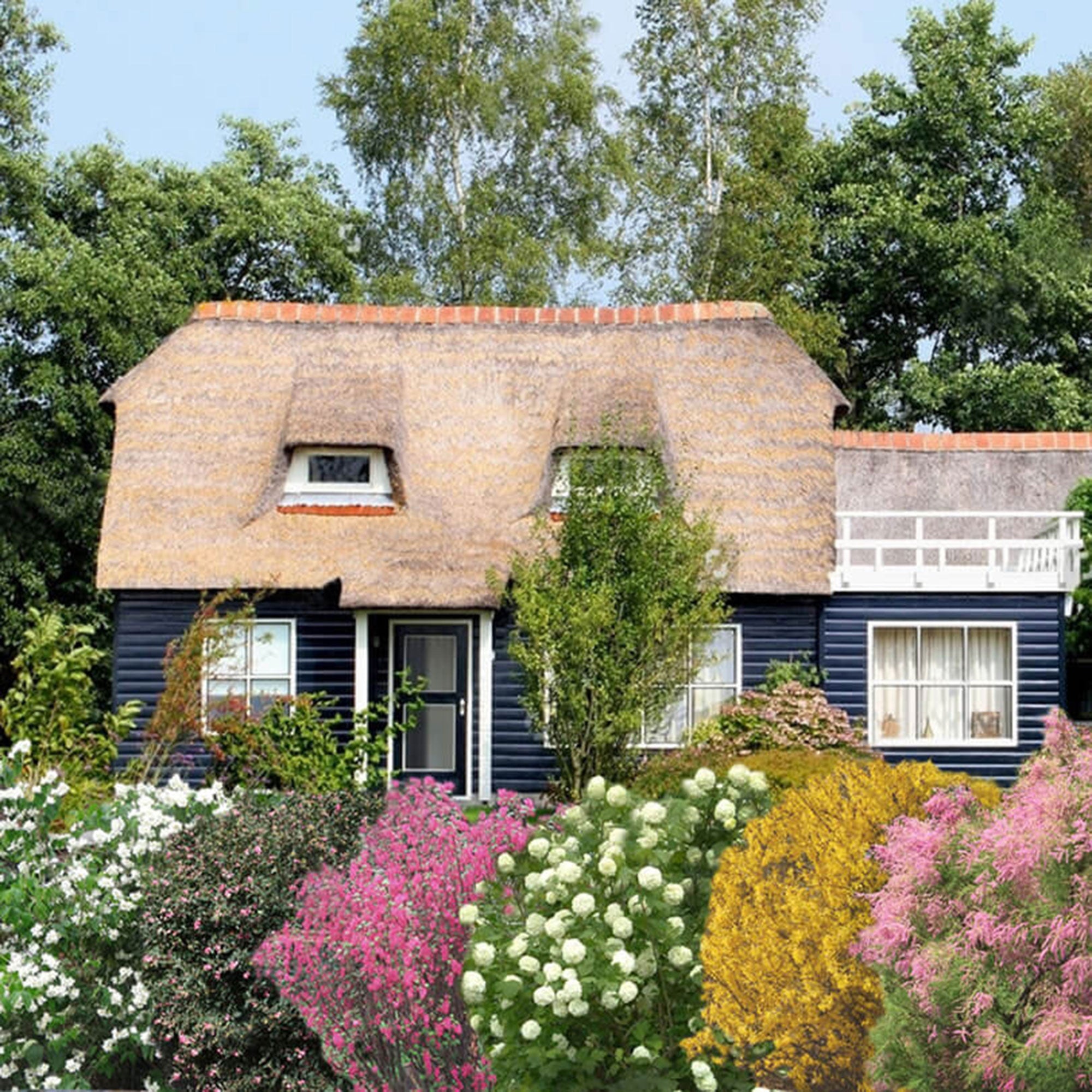 6x Vierjahreszeiten-Hecke - Mischung - Winterhart