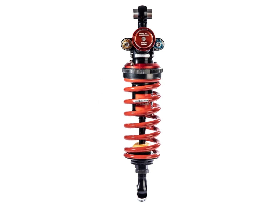 BiTubo Aprilia RSV1000 2001-2002 – RP00 – Sospensioni