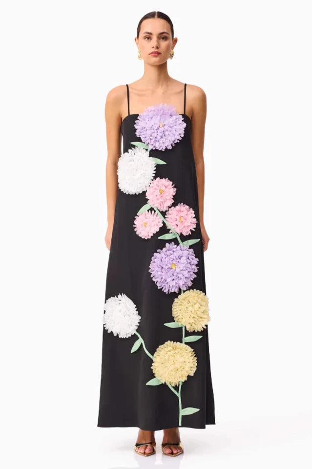 Louisa Floral Applique Maxi Dress