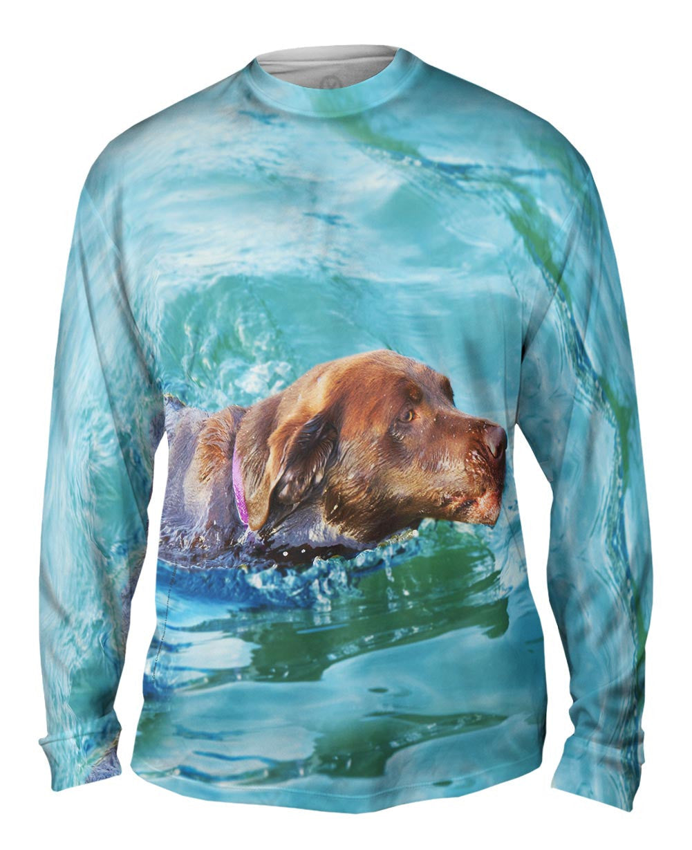 Swimming Chocolate Lab