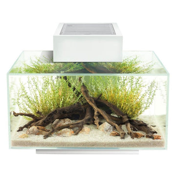 Edge 2.0 Aquarium 23L - Gloss White