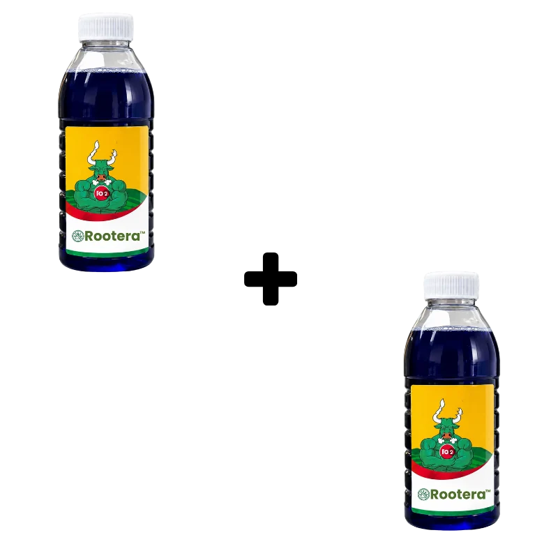 Rootera™