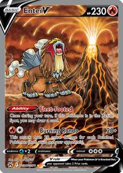 Special illustration rare card (TCG)