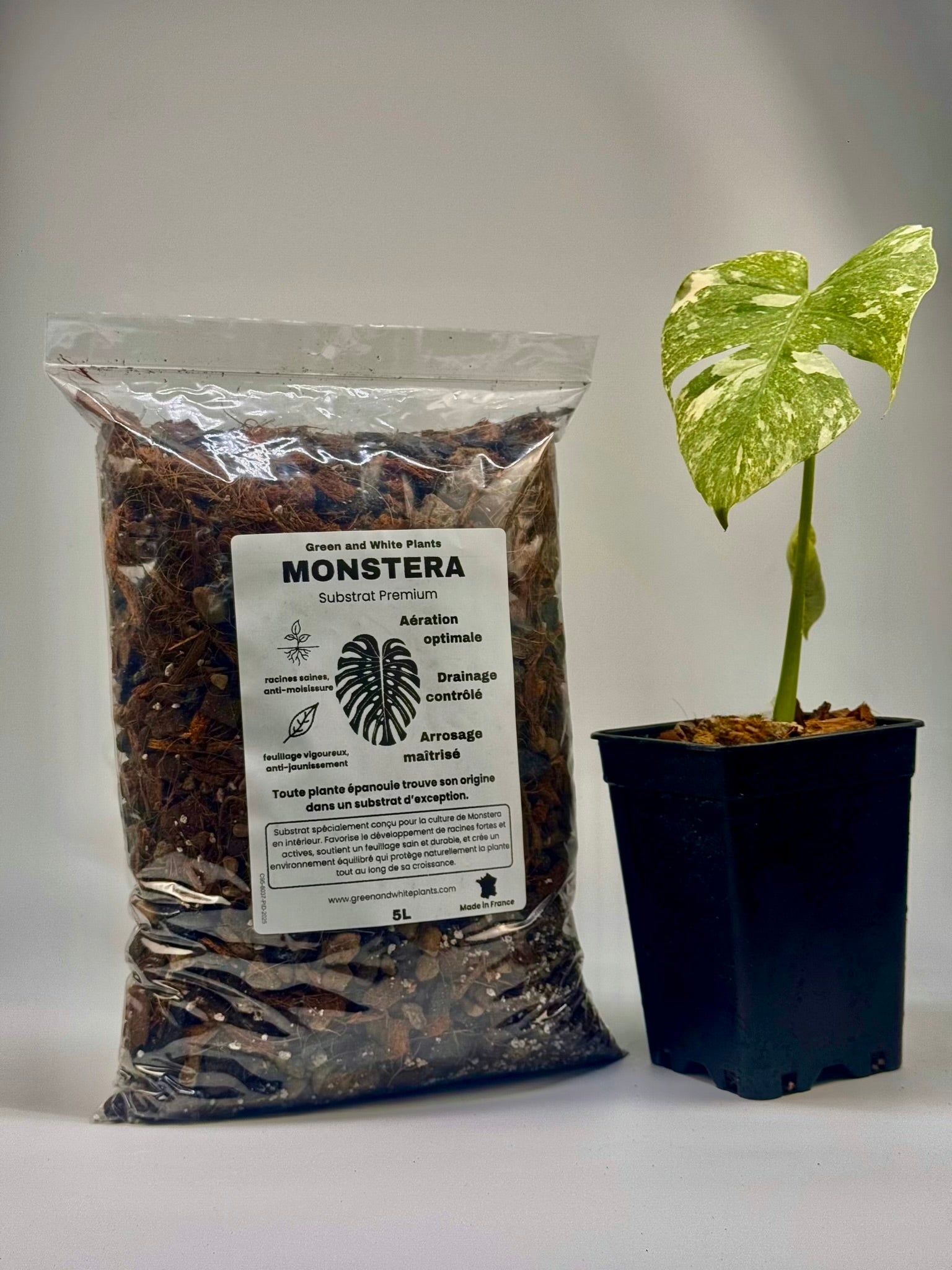 Professional Monstera Substrate