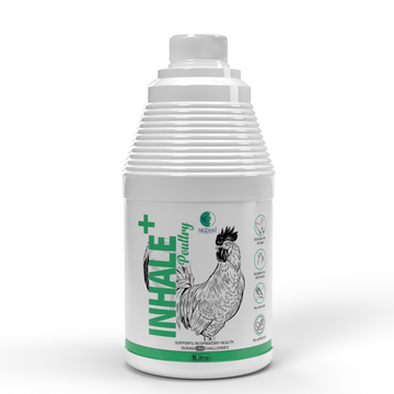 Inhale+ Poultry Respiratory Tonic for Chickens | Herbal Respiratory Support for CRD, Cough & Breathing Stress