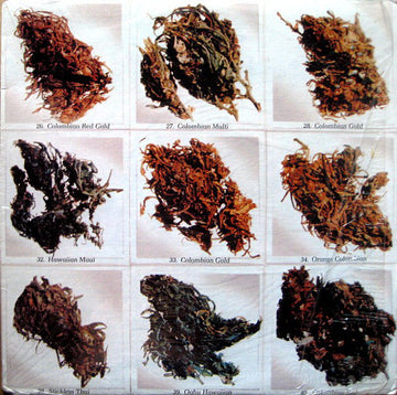 Diezzle Don & Tha Govener : 1995 (Year Of The Independent) (LP, Album)