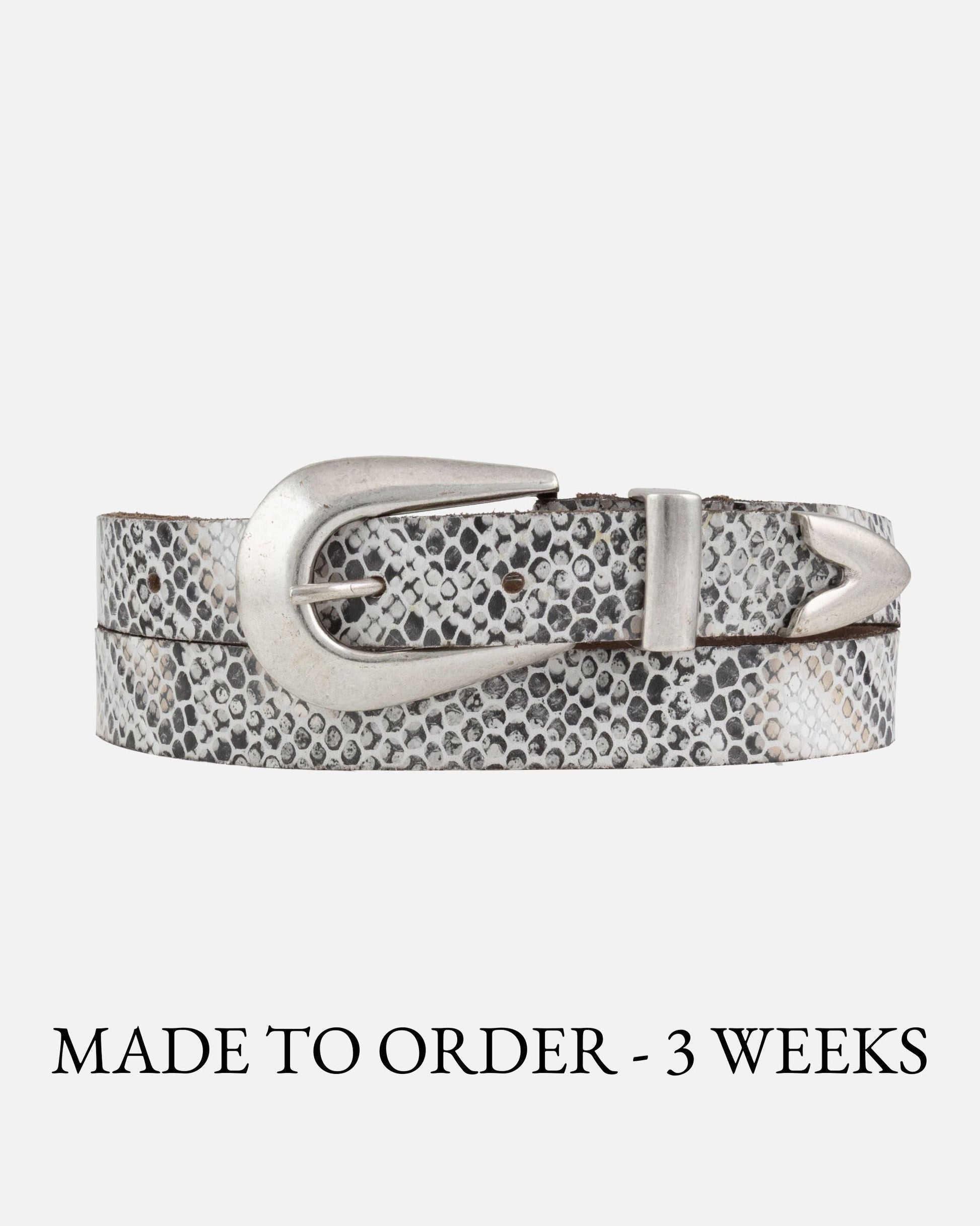 Light Grey Snake