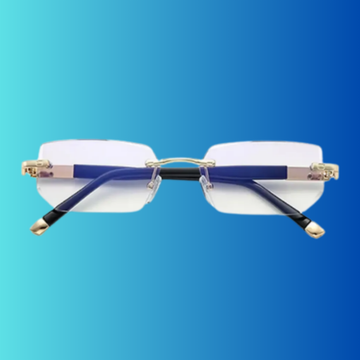 VisionPro™