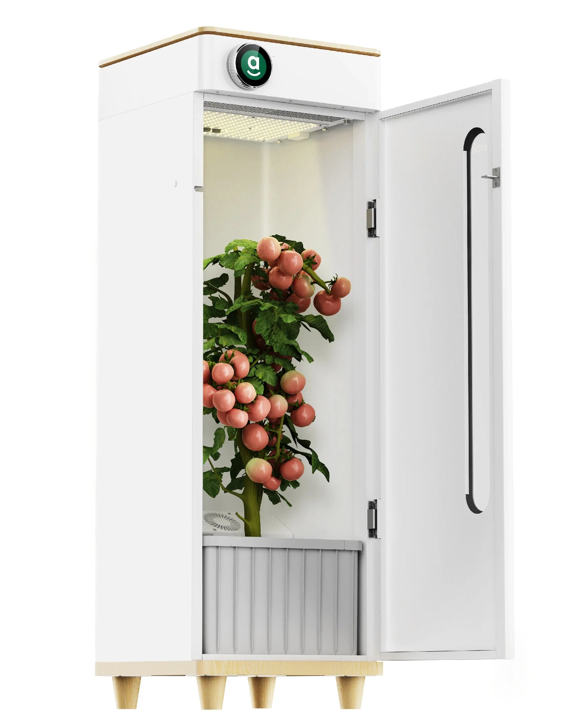 Abby OG Pro Edition Grow Box