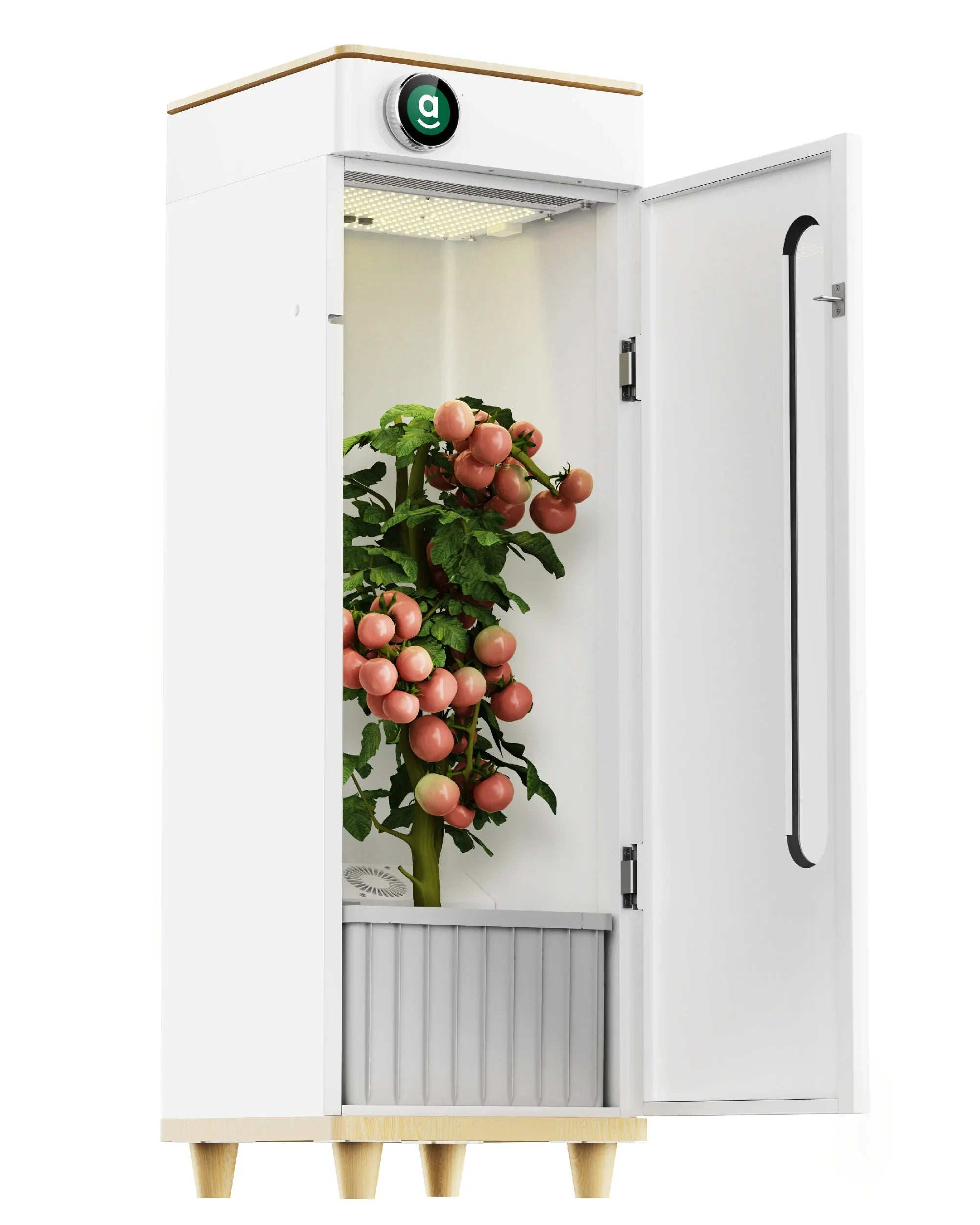 Abby OG Pro Edition Grow Box