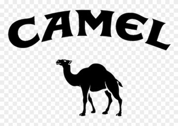 Camel Logo - Decal - Camel Cigarettes Logo 2018, HD Png Download -  800x800(#34356)