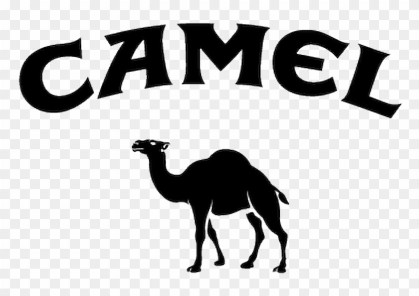 Camel Logo - Decal - Camel Cigarettes Logo 2018, HD Png Download -  800x800(#34356)