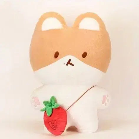 대왕터래기 양도해요