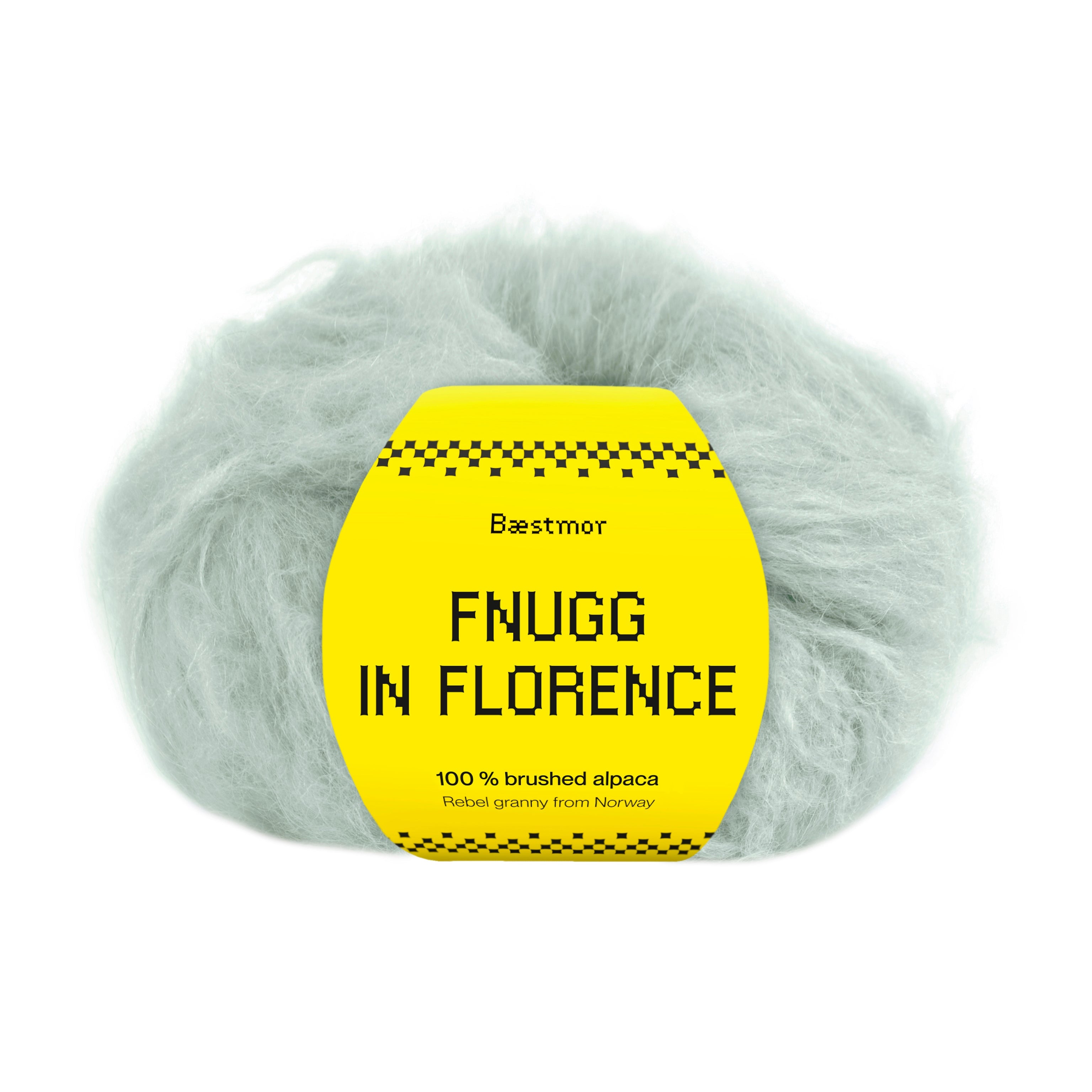 Fnugg in Florence