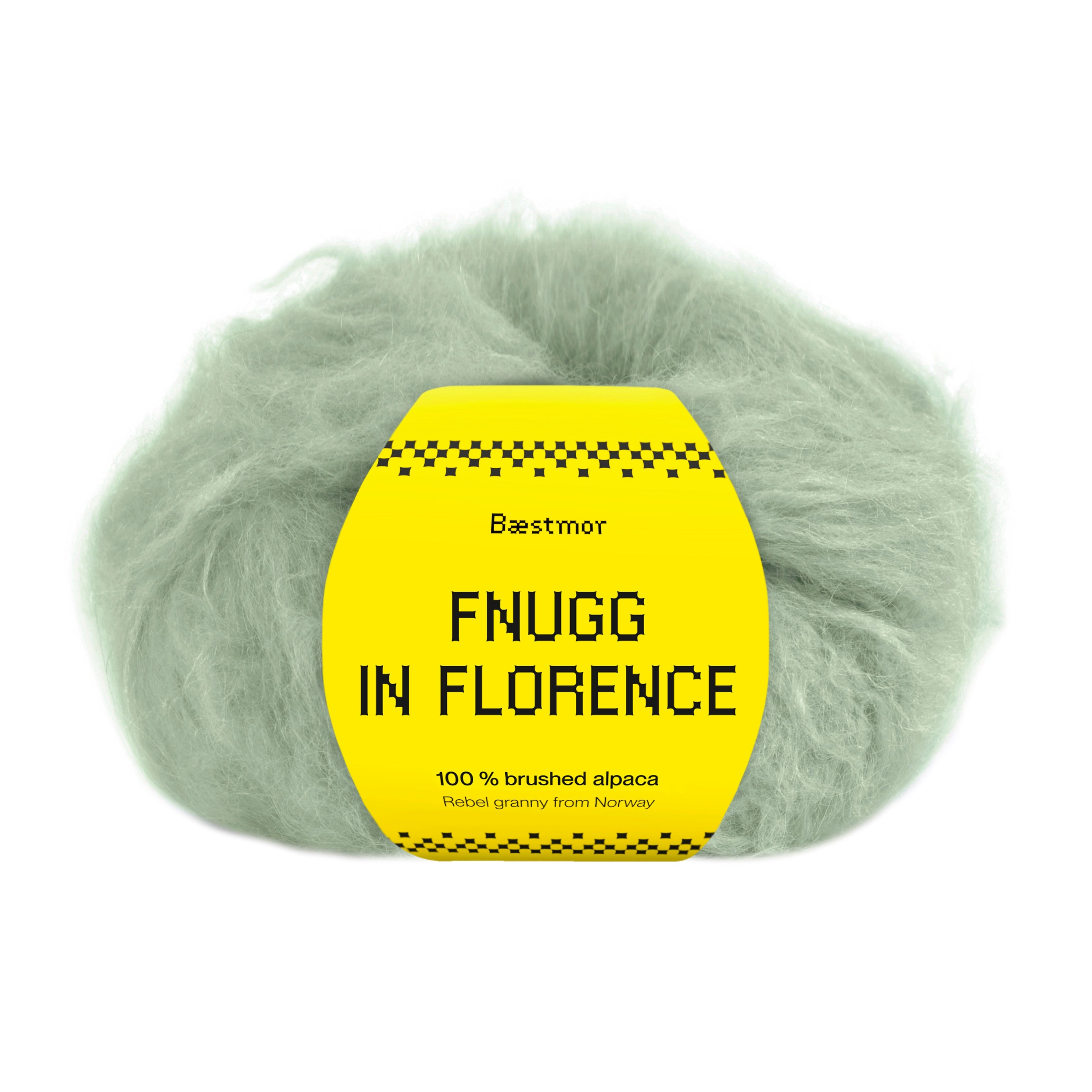 Fnugg in Florence