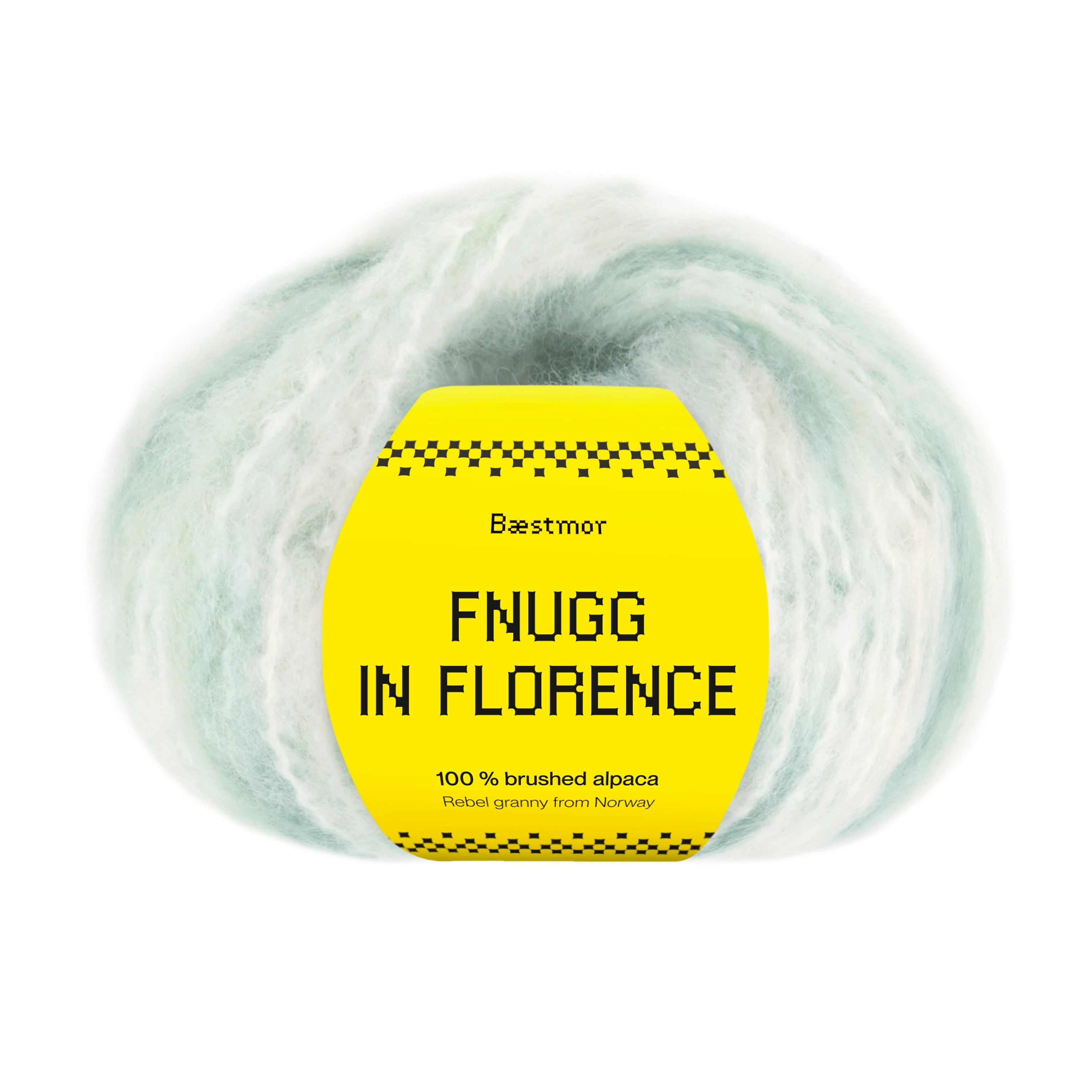 Fnugg in Florence