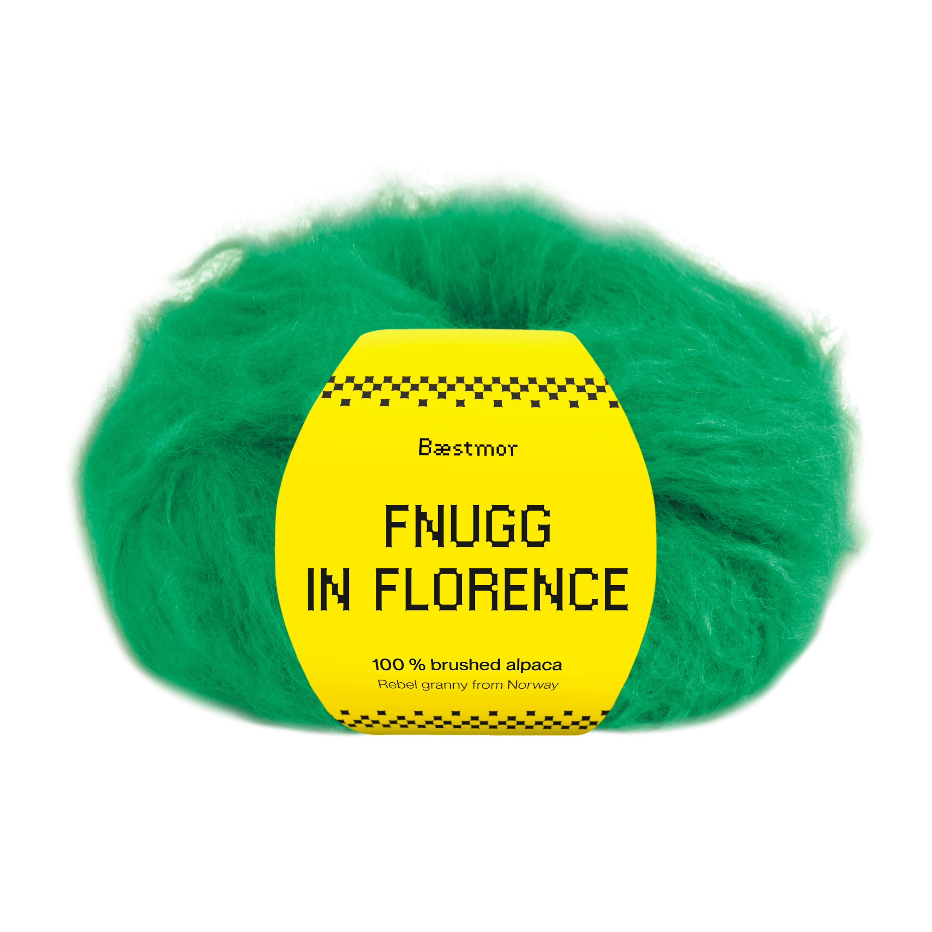 Fnugg in Florence