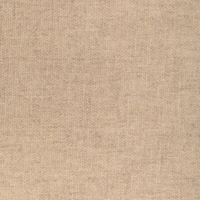 4894-116 OPEN AIR SAND KRAVET COUTURE DRAPERY