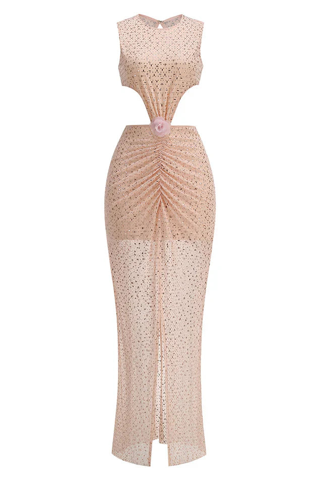 Crystal Embellished Cut Out Gown
