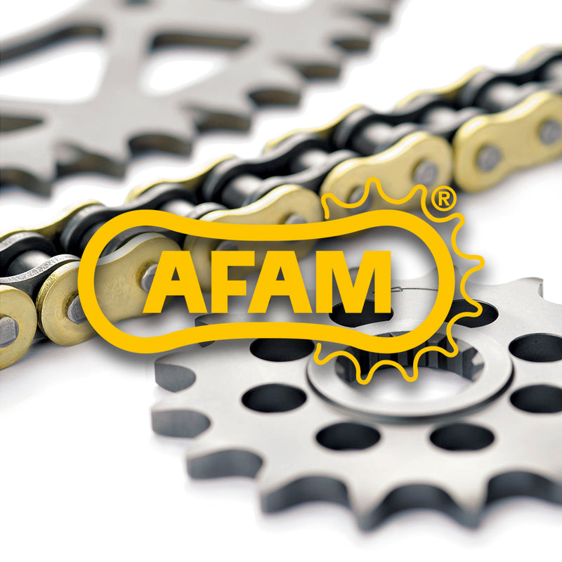 AFAM -Ketten -Kit 520xLR2 13/38 Standard - Standard -Heck -Kettenrad 48013154