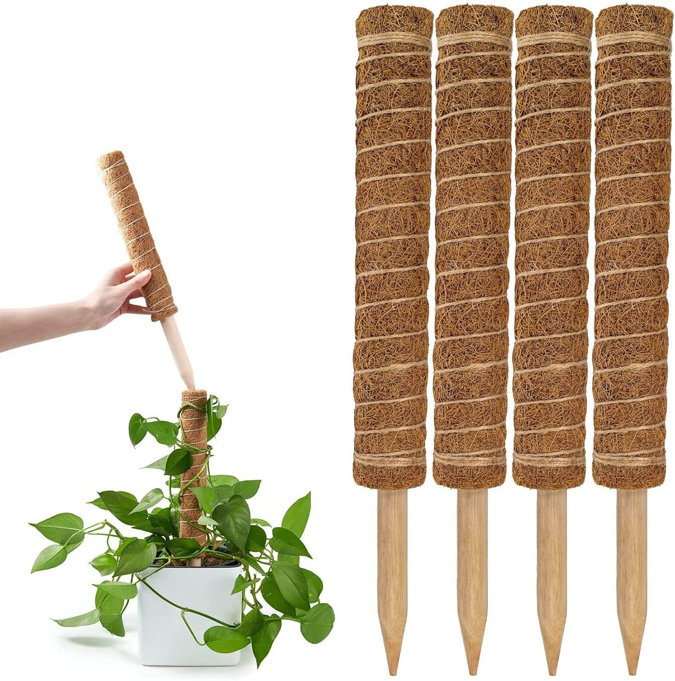 Best Coco Coir Poles for Monstera (Pack of 4) - 12" Perfect for Small/Medium Climbing Plants Indoor