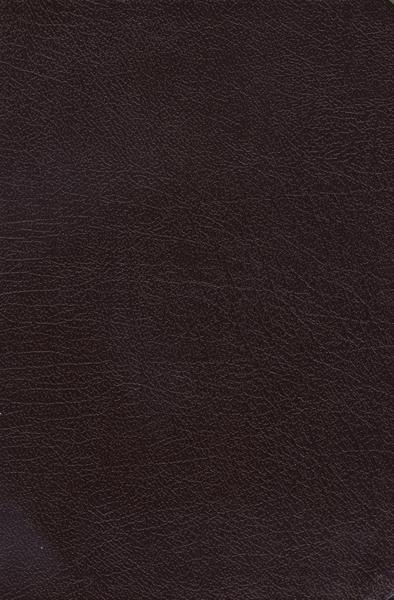 NKJV The Charles F. Stanley Life Principles Bible (Burgundy)