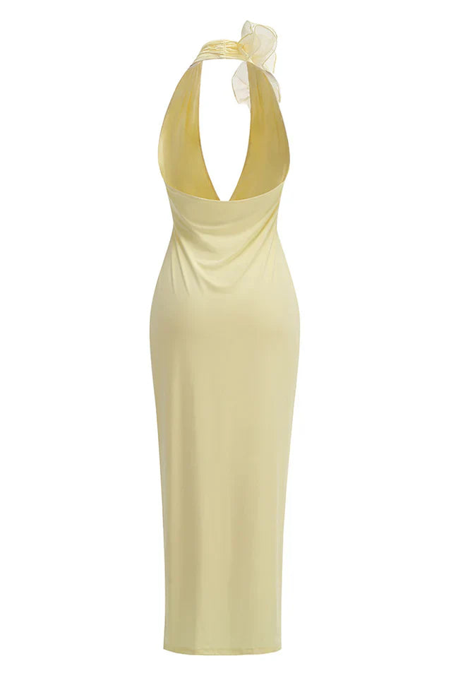 Sheike Halter Floral Maxi Dress