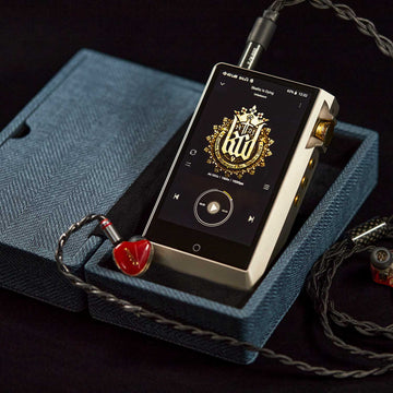 Audio Essence DAP/IEM Carry Case by Miter