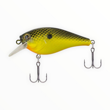 Berkley Squarebull- Black Chartreuse