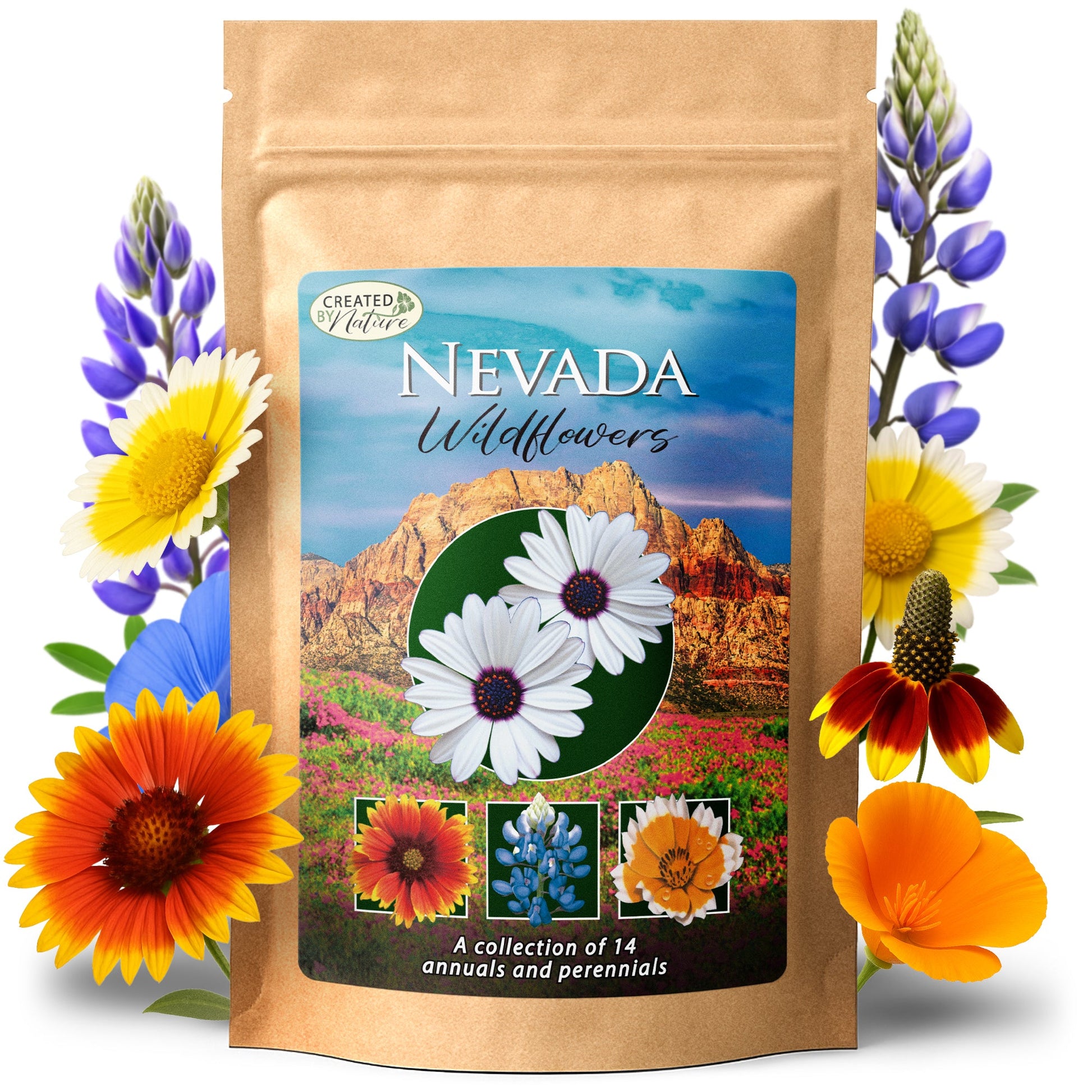 Nevada Wildflower Seed Mix