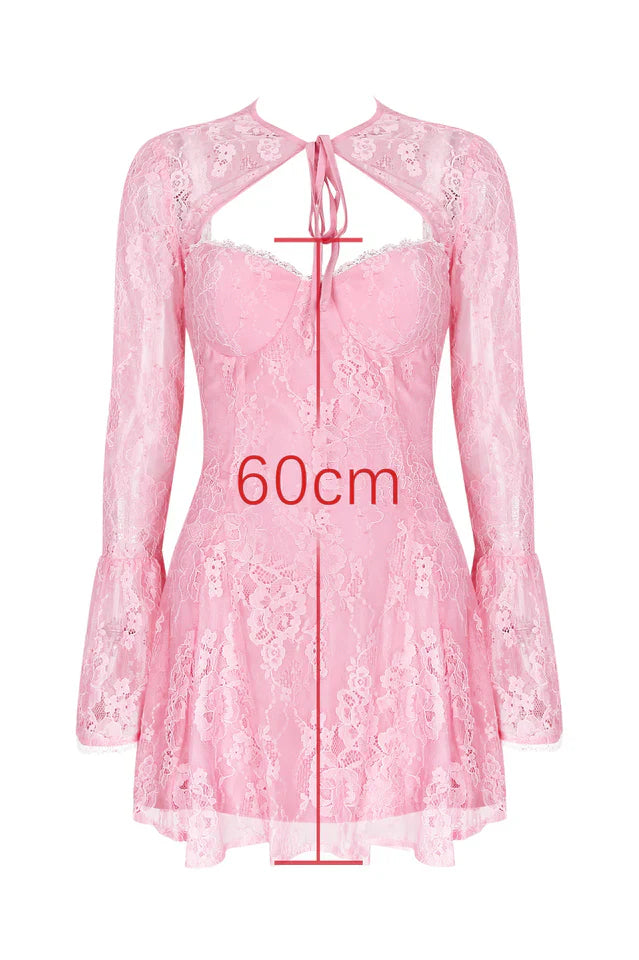 Alice Pink Lace Mini Dress