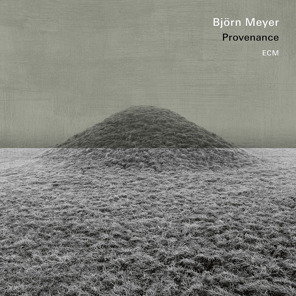 Björn Meyer Provenance Vinyl 379987