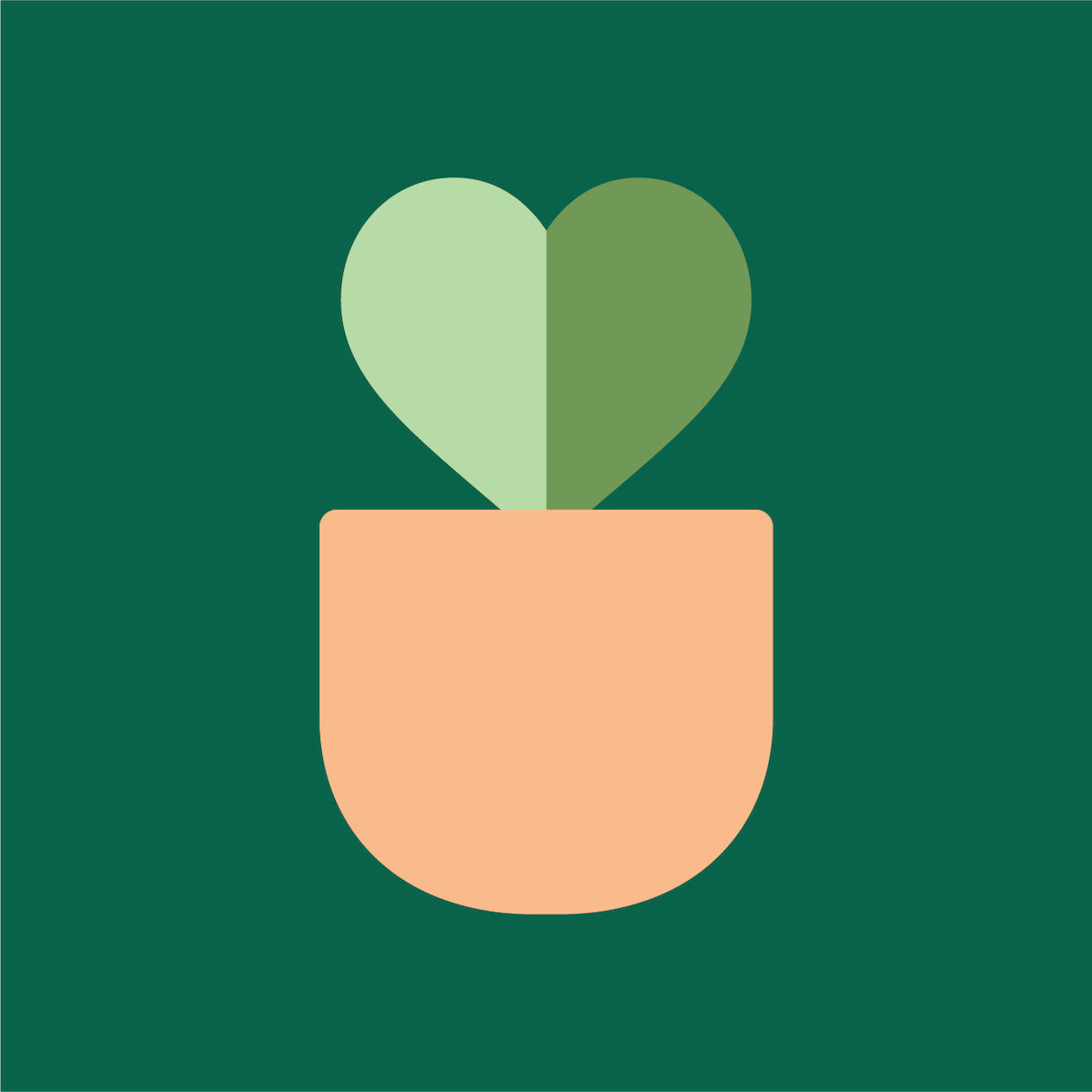HPD ‑ House Plant Dropship - Effortlessly grow your business with a wide  range of plants
