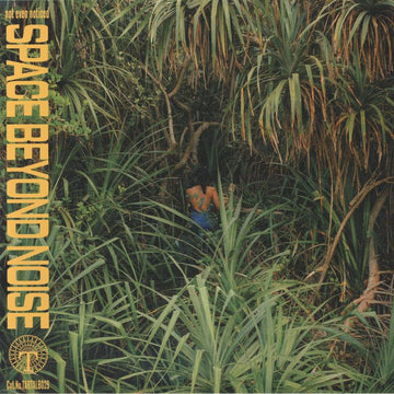 Not Even Noticed - Space Beyond Noise (Vinyle Neuf)