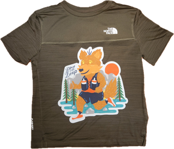 The North Face Boys Tiloup T-shirt