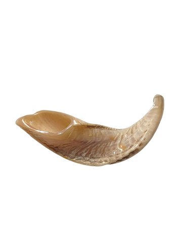 Natural Kosher Ram’s Horn Shofar