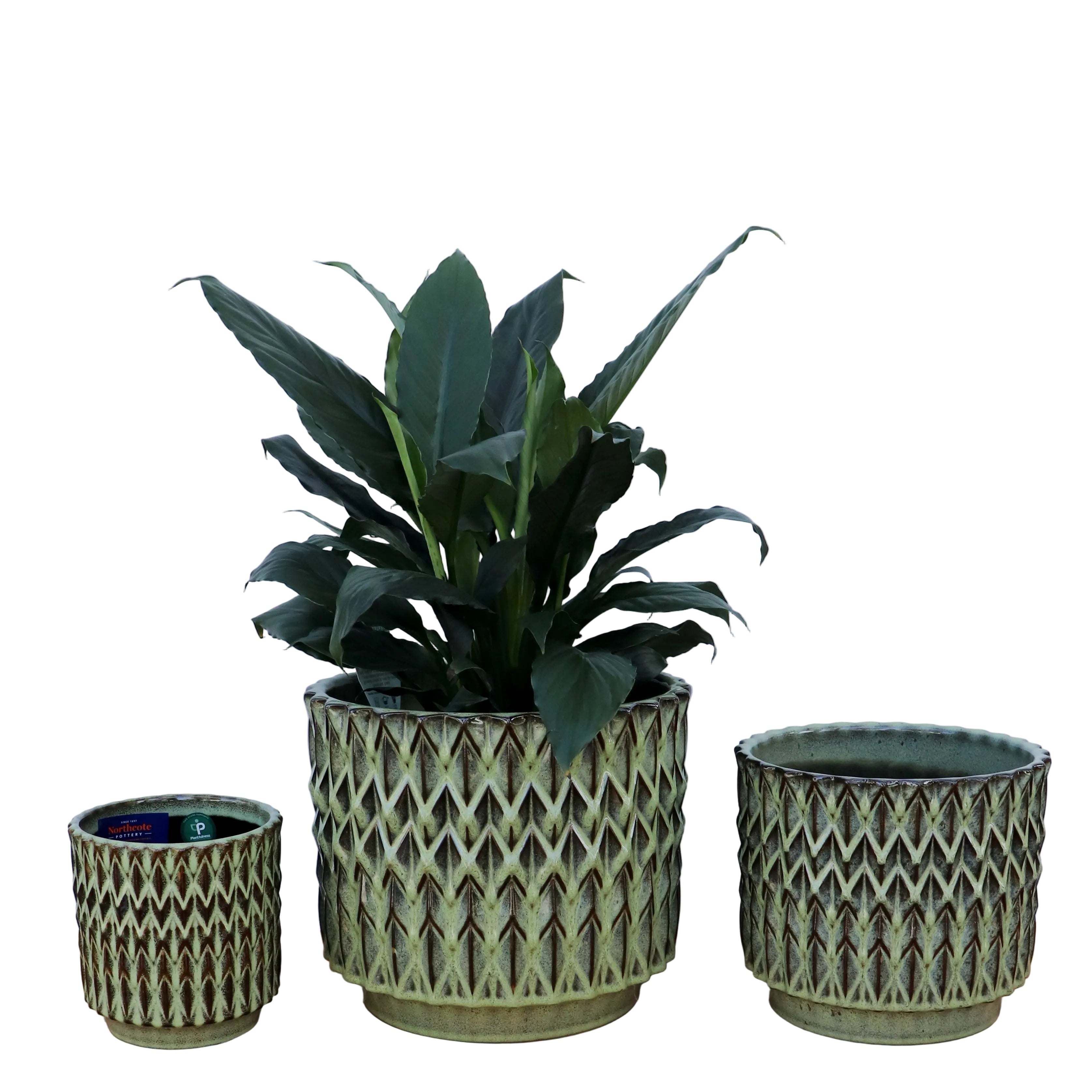 Felix Cylinder Pots S/3 - Green