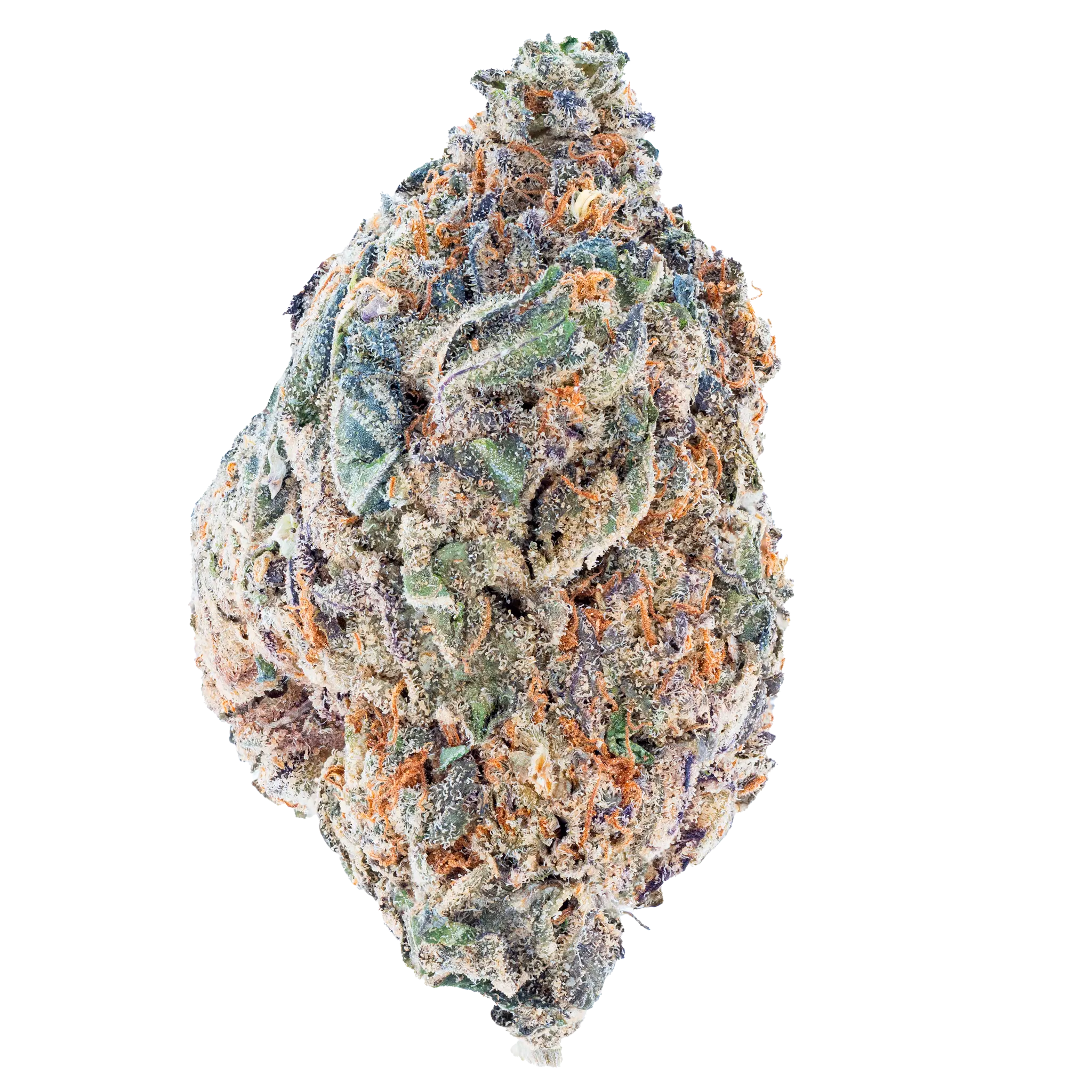 Bulk Super Exotic THCa Flower Bay Smokes