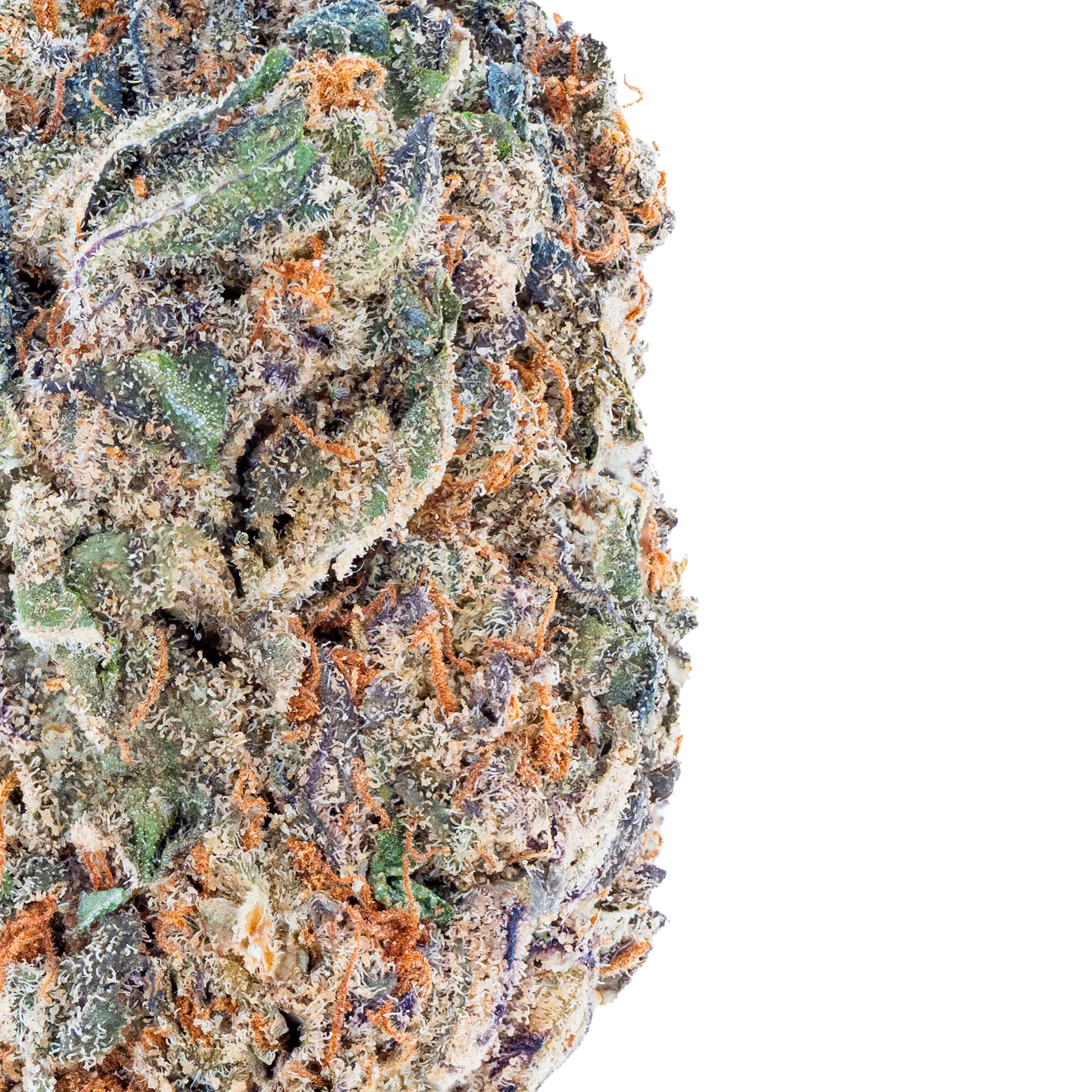 Bulk Super Exotic THCa Flower Bay Smokes