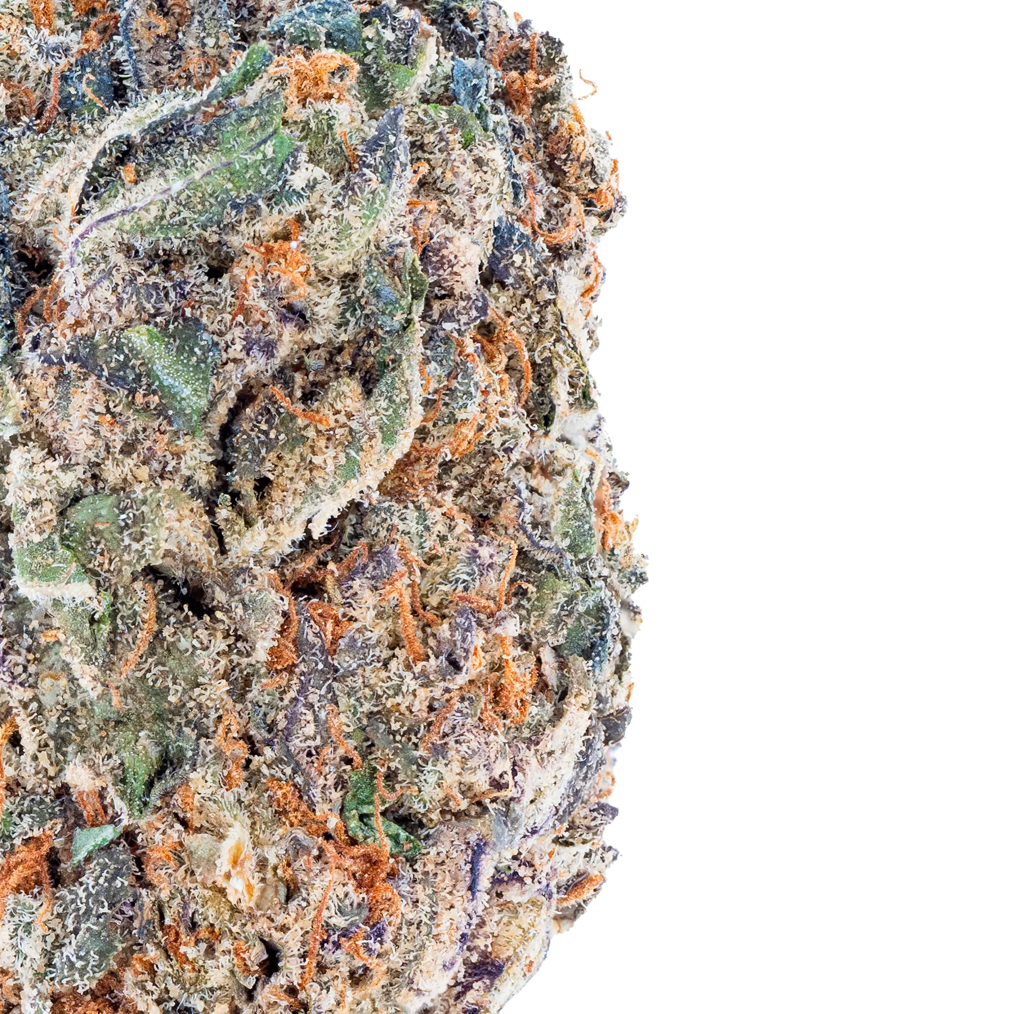 Bulk Super Exotic THCa Flower Bay Smokes