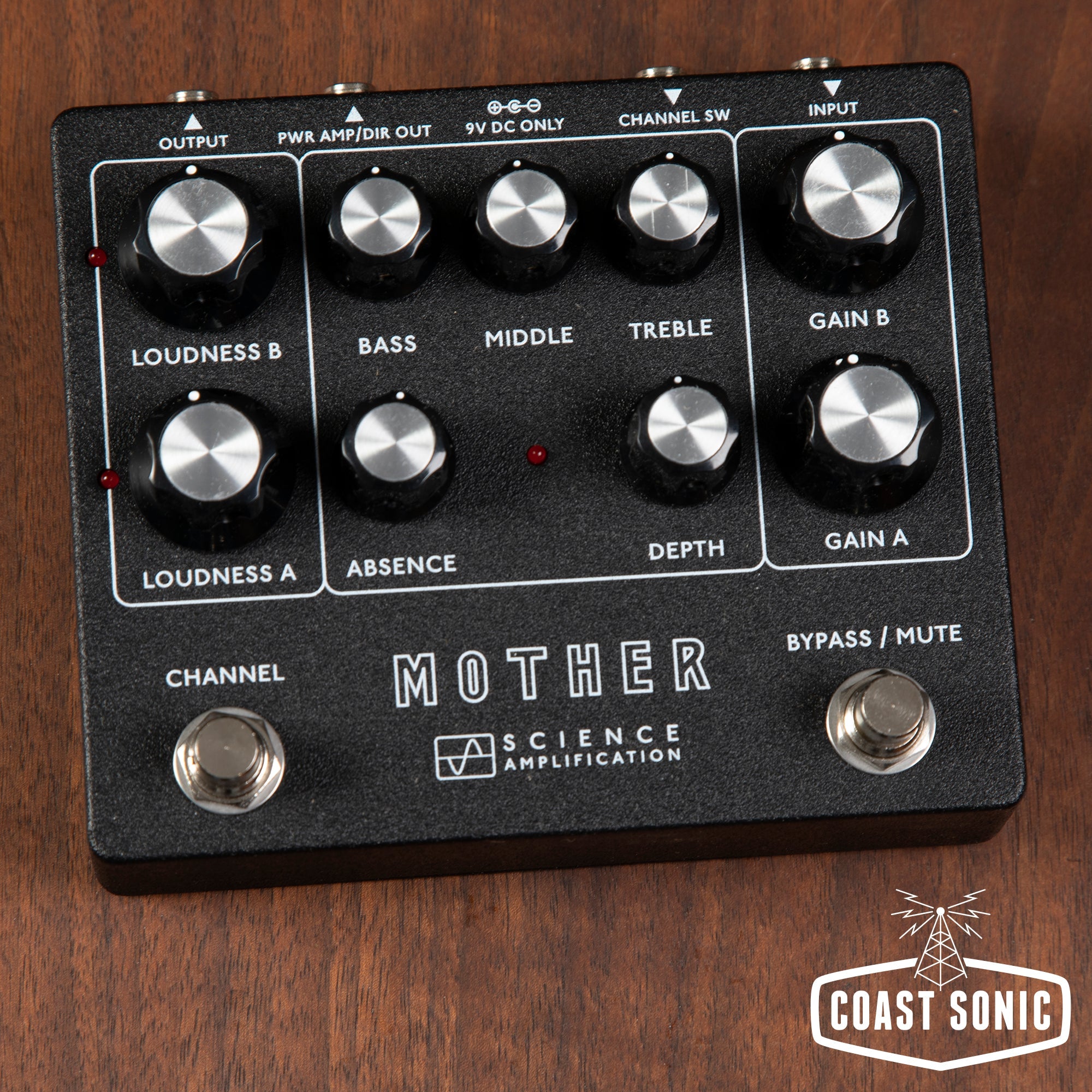 Electronic Audio Experiments / Science Amps Mother Preamp