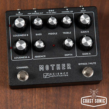 Electronic Audio Experiments / Science Amps Mother Preamp