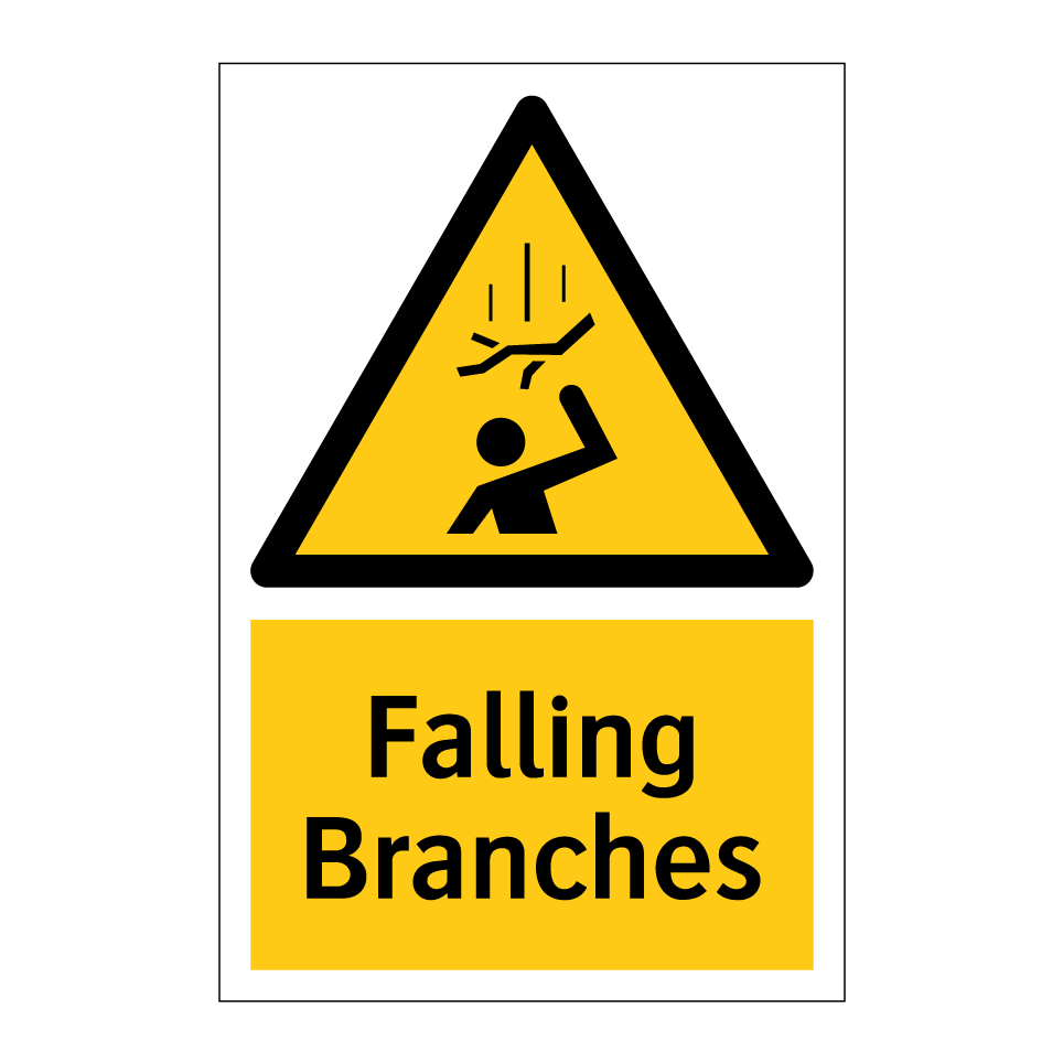 Falling Branches