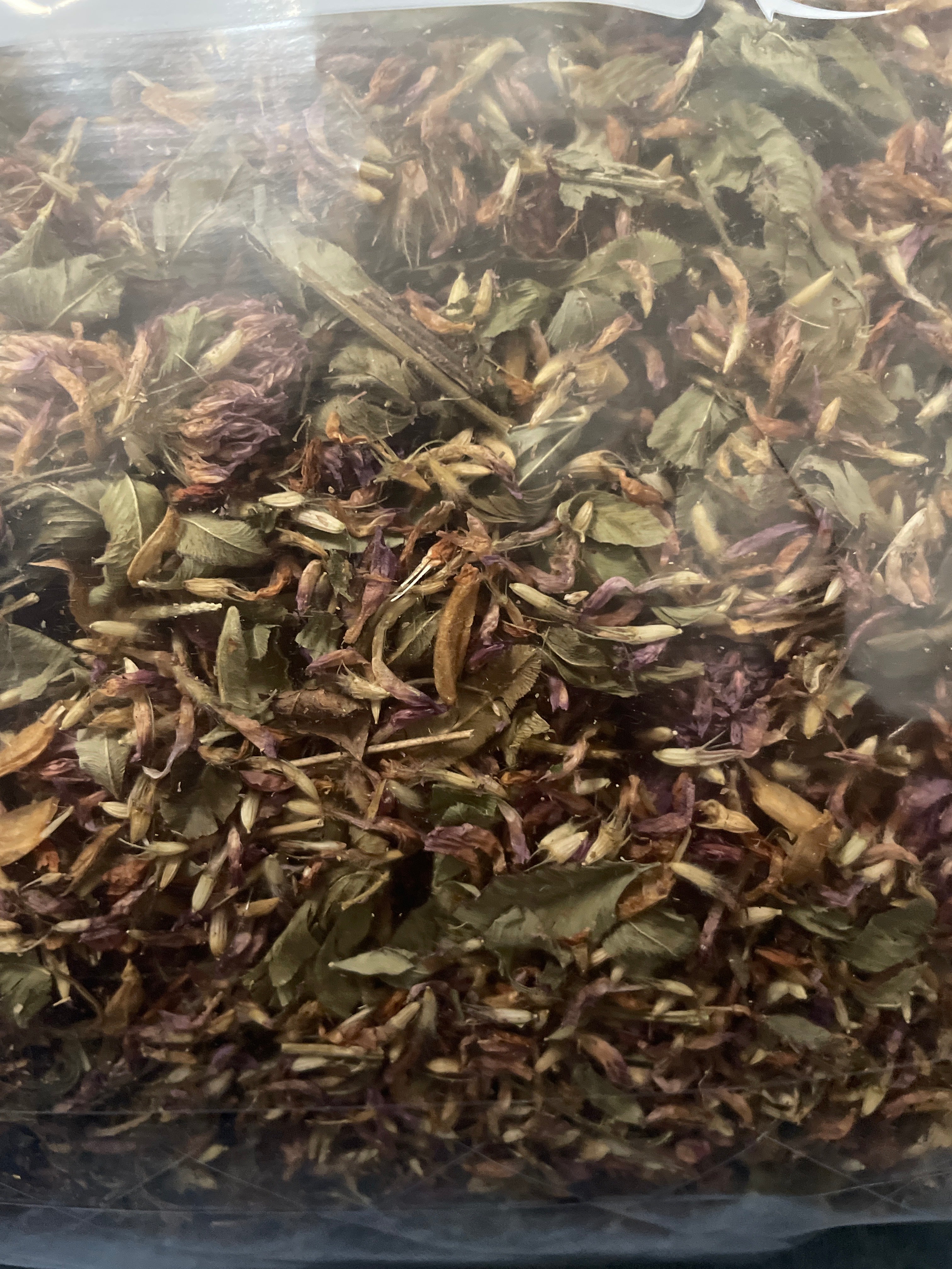 Red Clover and Burdock Root Tea