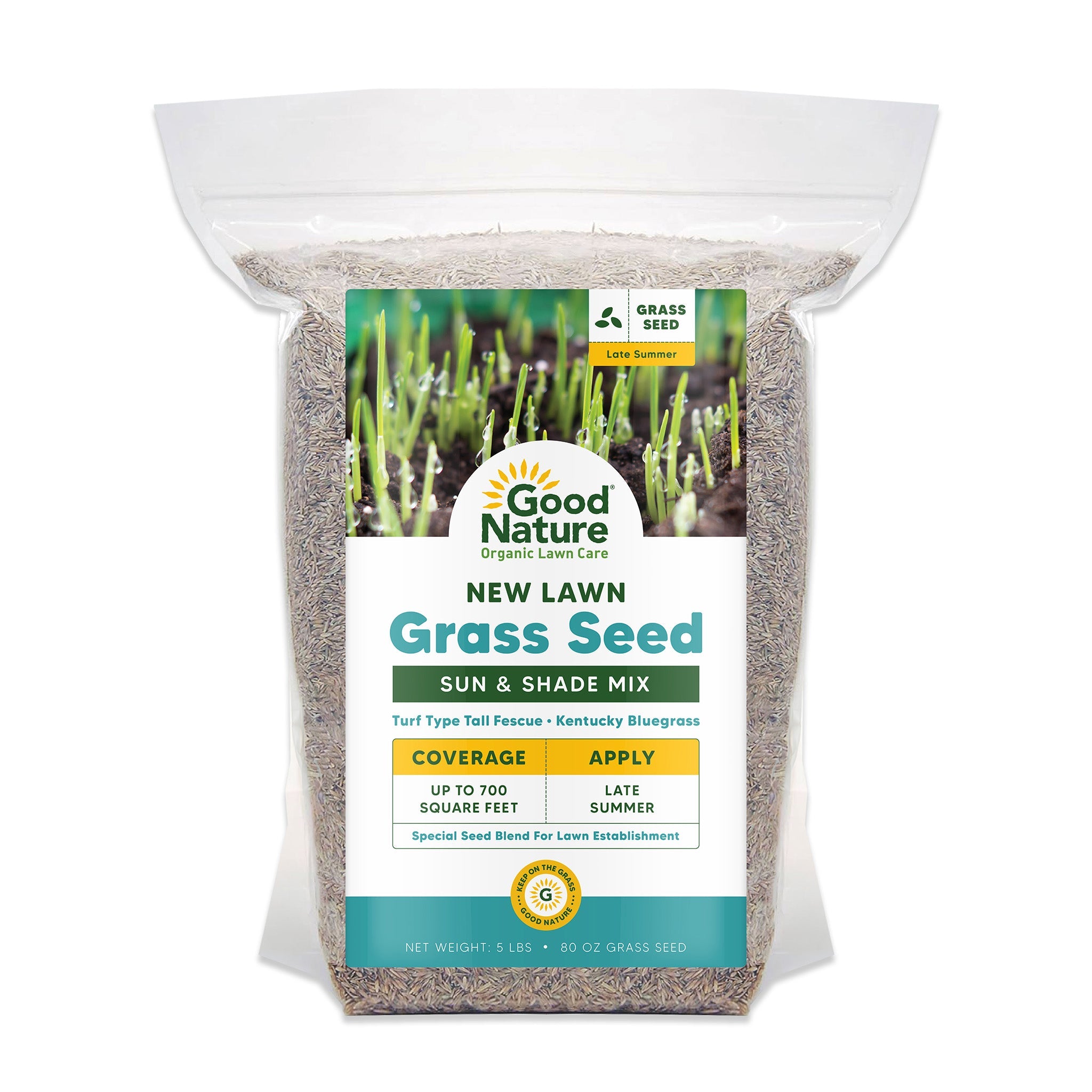 New Lawn Grass Seed
