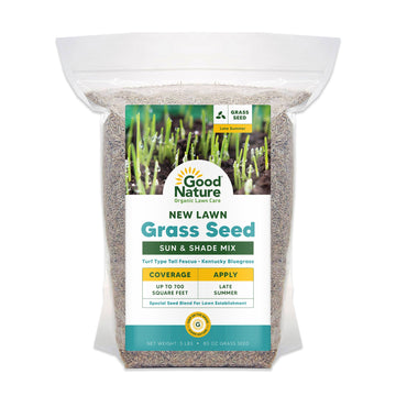New Lawn Grass Seed