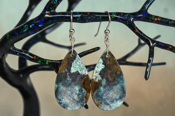 Earrings with opalized wood